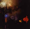 J1E0050.jpg (11970 oCg)